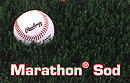Marathon I
